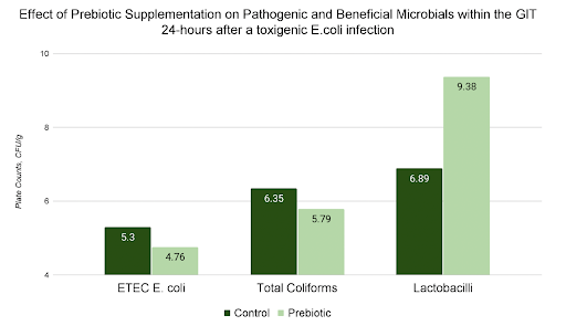 Effect_of_Prebiotic_Supplementation.png